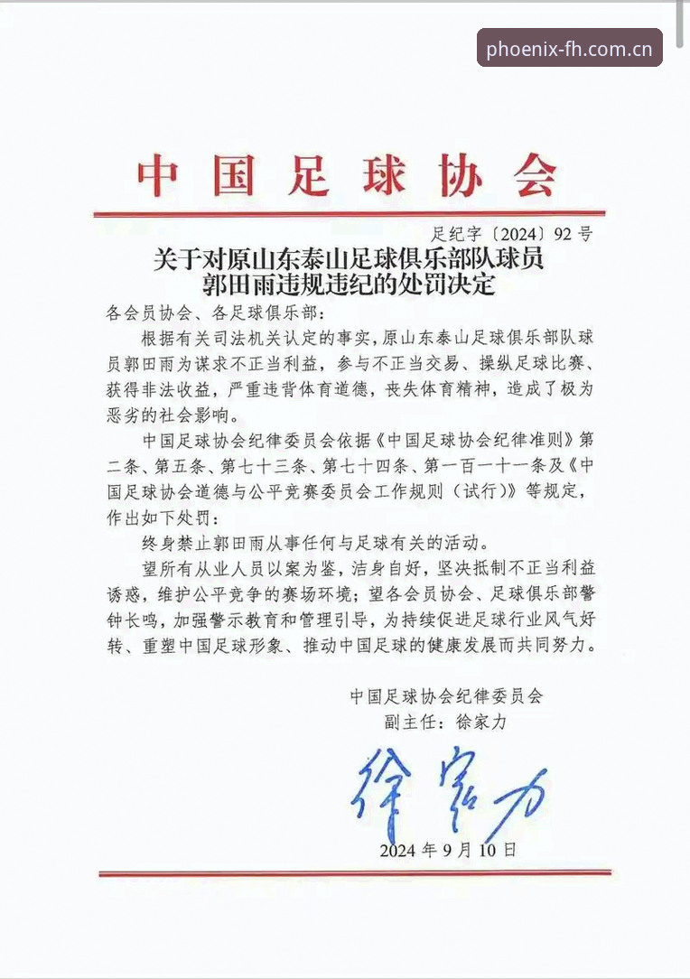 FH沉浸体验 实用指南:从足协第三批禁足名单看中国足球反腐行动的深度影响
