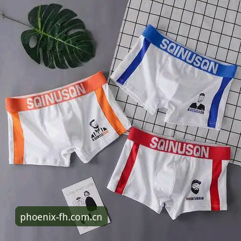 FH电脑版哪个好 FH凤凰体育平台电脑版选择指南:新手必看的完整教程